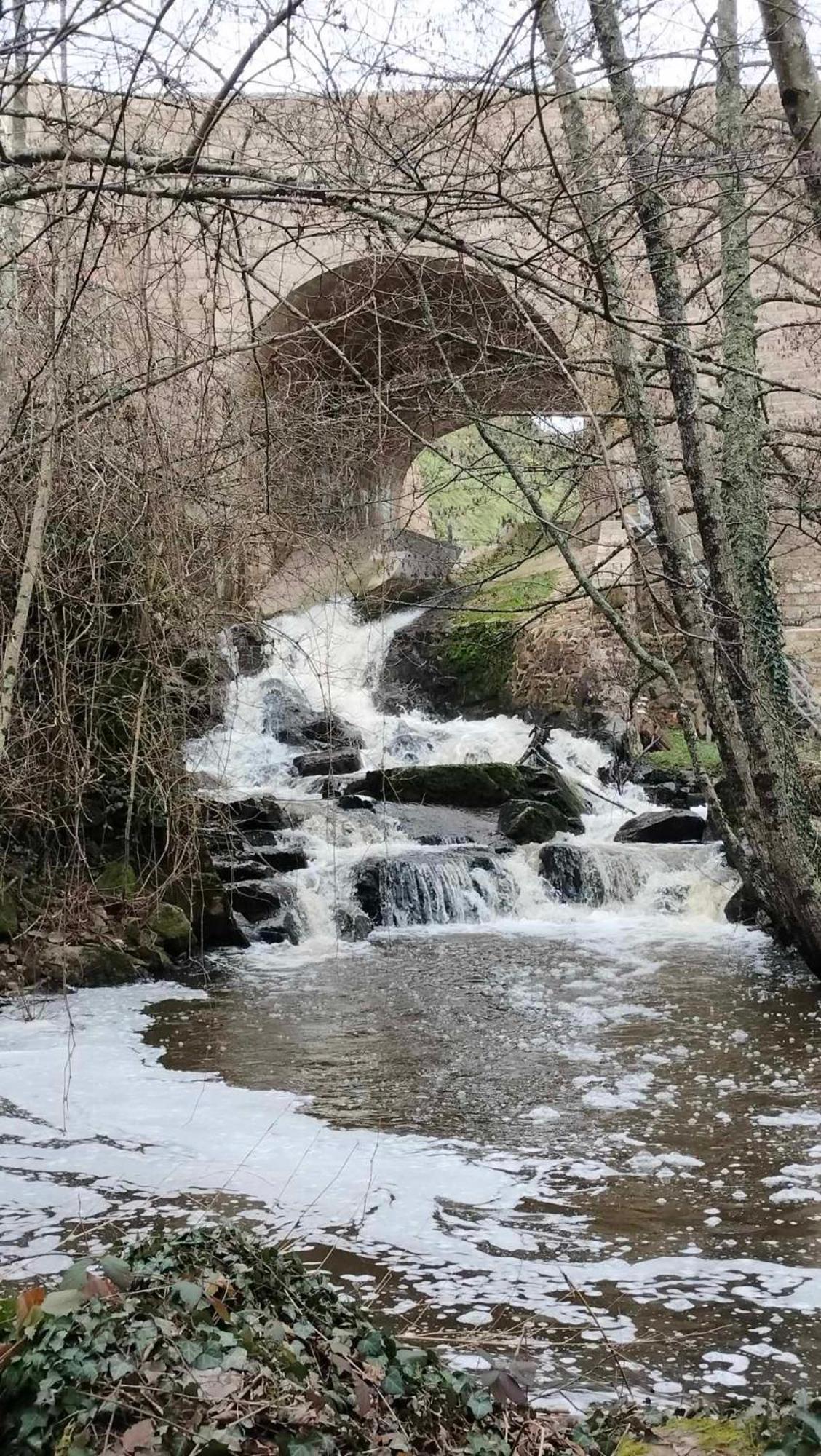 Gite "La Petite" Saint-Benoit-du-Sault Dış mekan fotoğraf